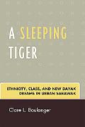 A Sleeping Tiger