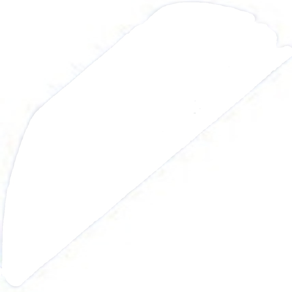 NTY EAS-RE-002 Steering Column Switch for RENAULT