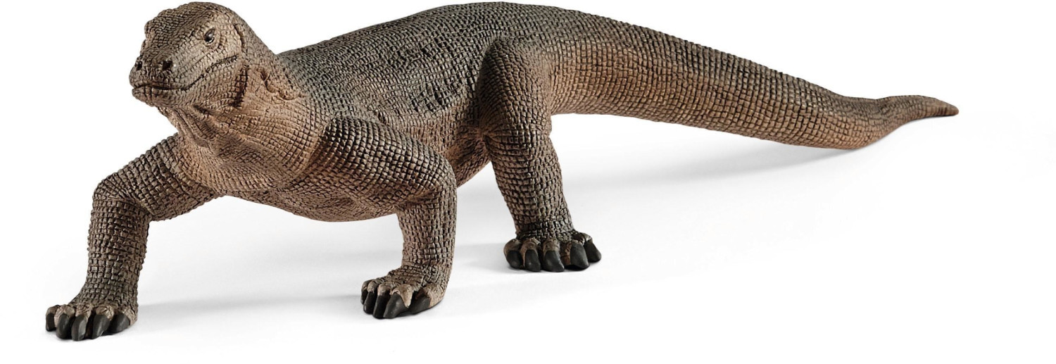 Komodo Dragon