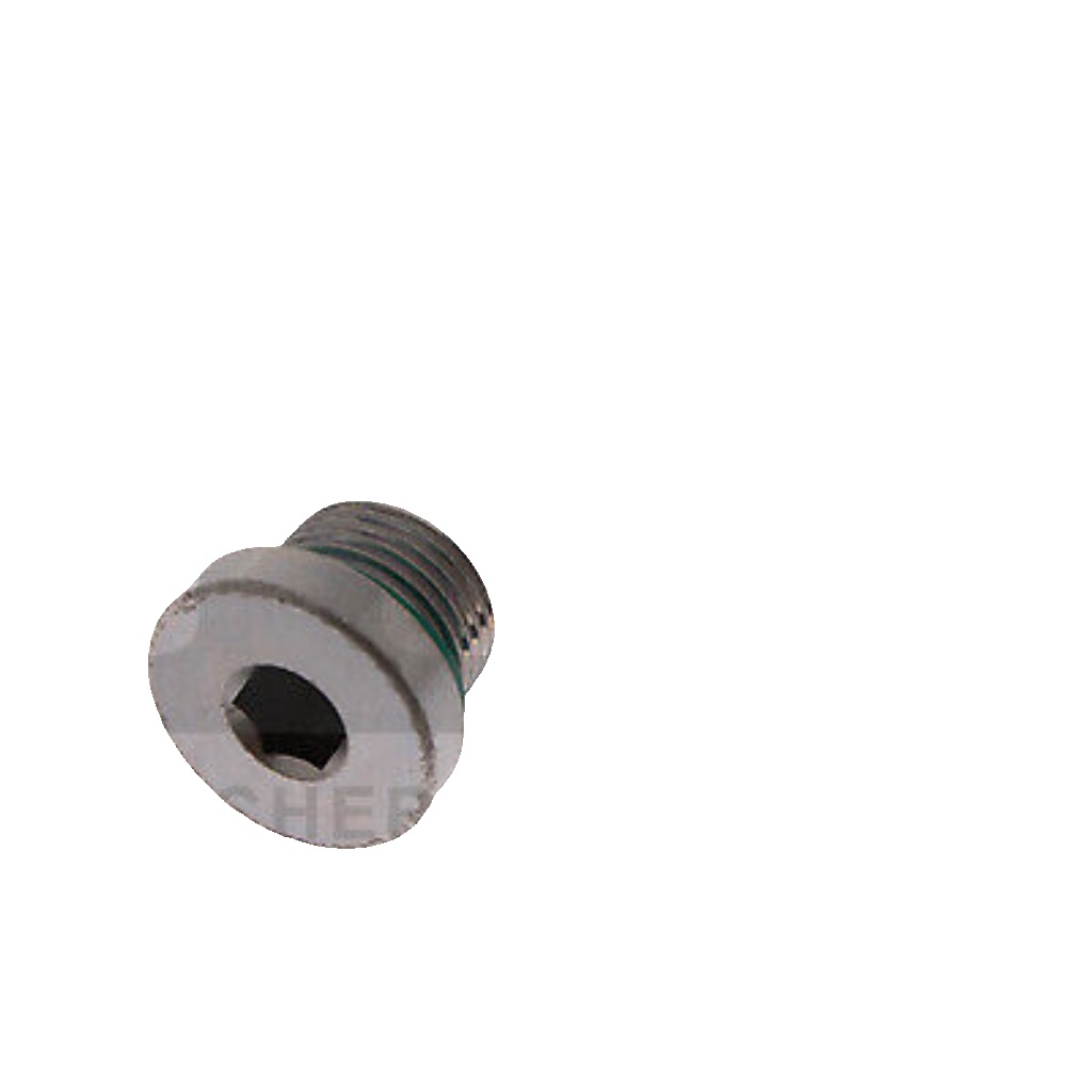 FA1 257.893.001 Screw Plug, transmission housing for BMW,VW