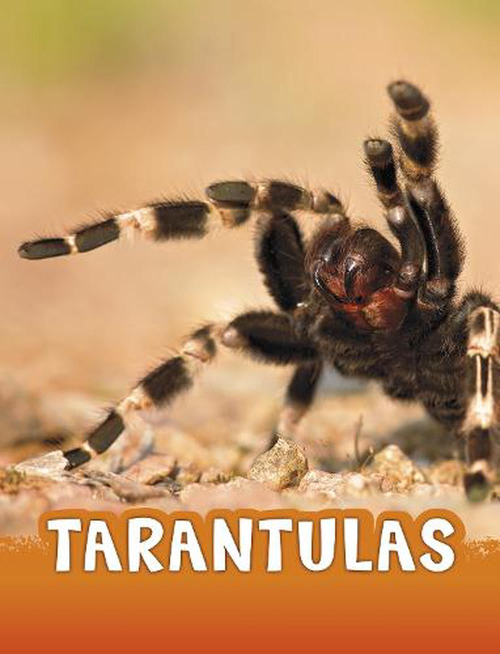 Tarantulas by Jaclyn Jaycox - 9781474796224