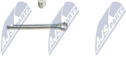 Wishbone Pin Lower Front Axle ZSD-CH-011 NTY