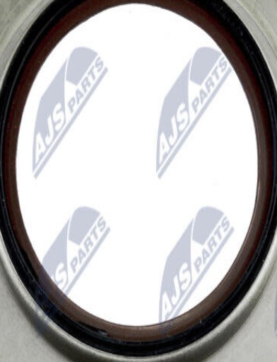 Crankshaft seal o-ring transmission sided PTFE (polytetrafluoroethylene) NTY