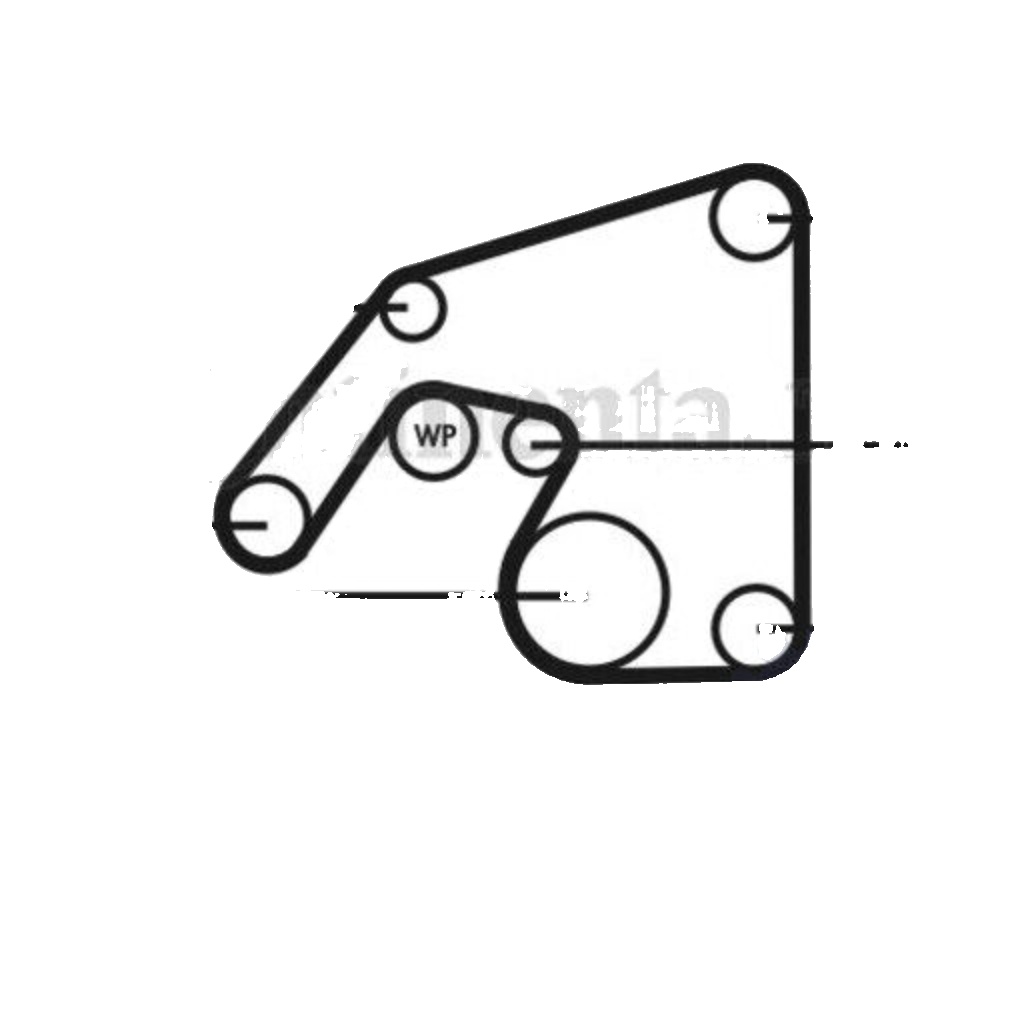 CT802 CONTINENTAL CTAM Timing Belt for HYUNDAI,MITSUBISHI