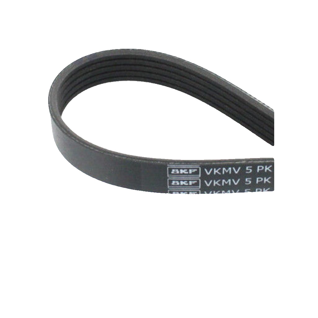 Skf Blue/Black V-Ribbed Belt Vkmv 5Pk1125 Size 5