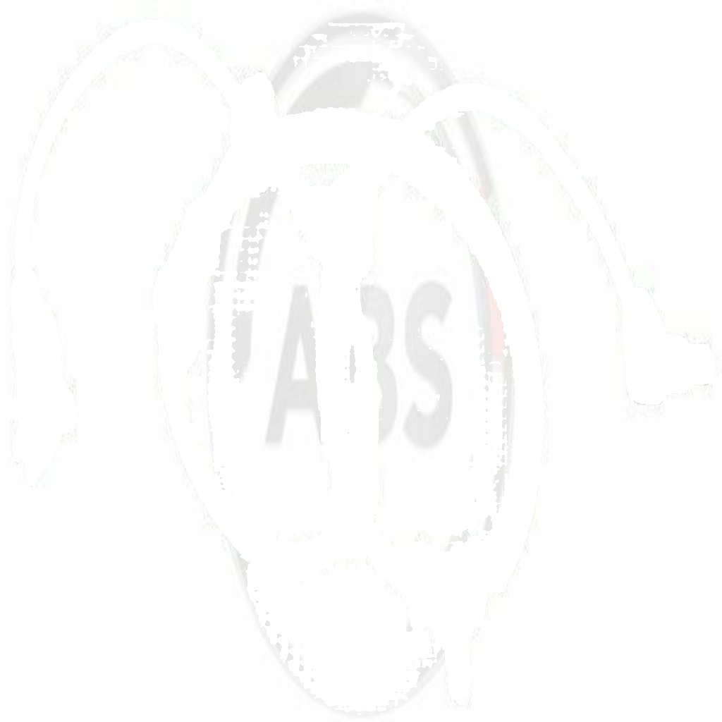 30972 A.B.S. Sensor, wheel speed for JEEP