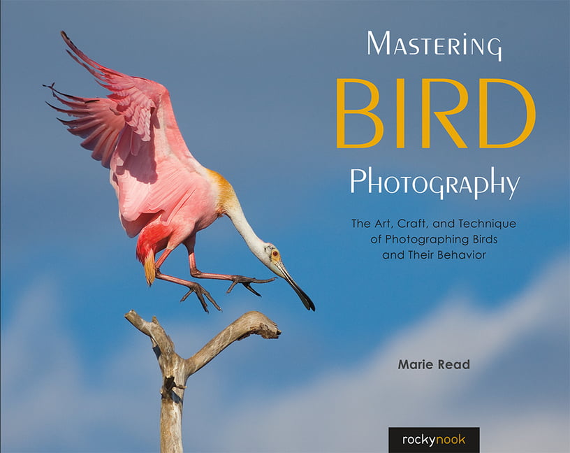 Mastering Bird Photography : The Art, Craft, And Technique Of Photographing Birds And Their Behavior Marie Read - Image 2