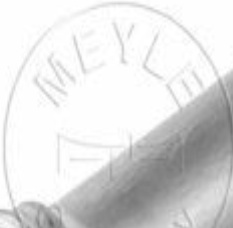 314 323 0010 MEYLE Fuel filter for BMW