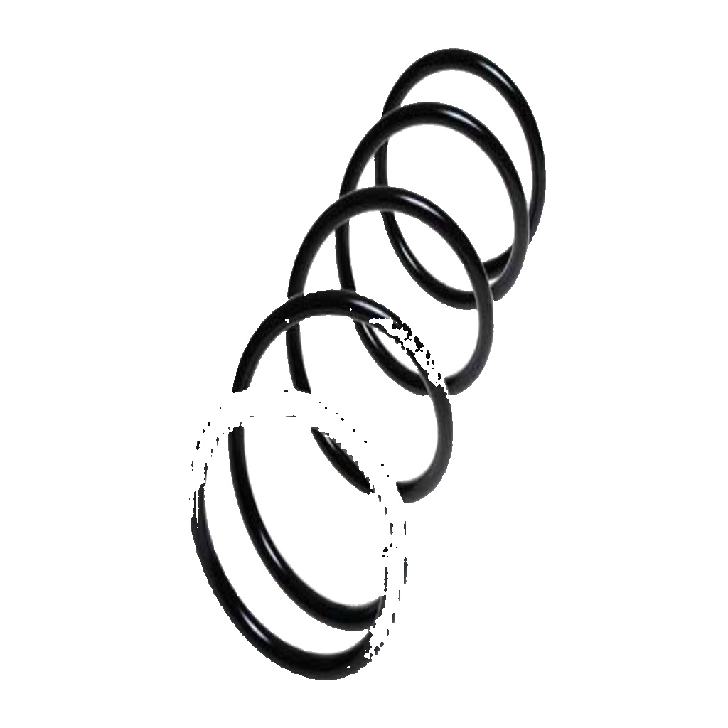 Front LESJÖFORS 4062059 Suspension Spring for NISSAN