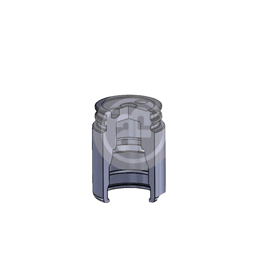 Rear AUTOFREN SEINSA D025558 Piston, brake caliper for CHEVROLET,OPEL,SAAB,VAUXH