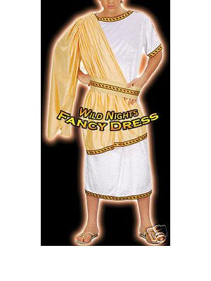 Mens Caesar Roman Man Costume White Gold Toga Ancient Greek Emperor Outfit