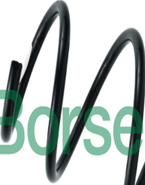 2x ✅Fits BORSEHUNG B12564 FRONT SPRING OCT III BORSEHUNG (O.E. QUALI ⭐UK Seller⭐
