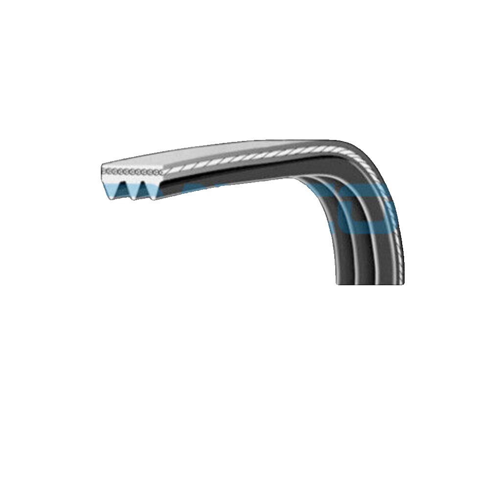 3PK576EE DAYCO V-Ribbed Belt for CITROËN,DS,JEEP,OPEL,PEUGEOT,VAUXHALL