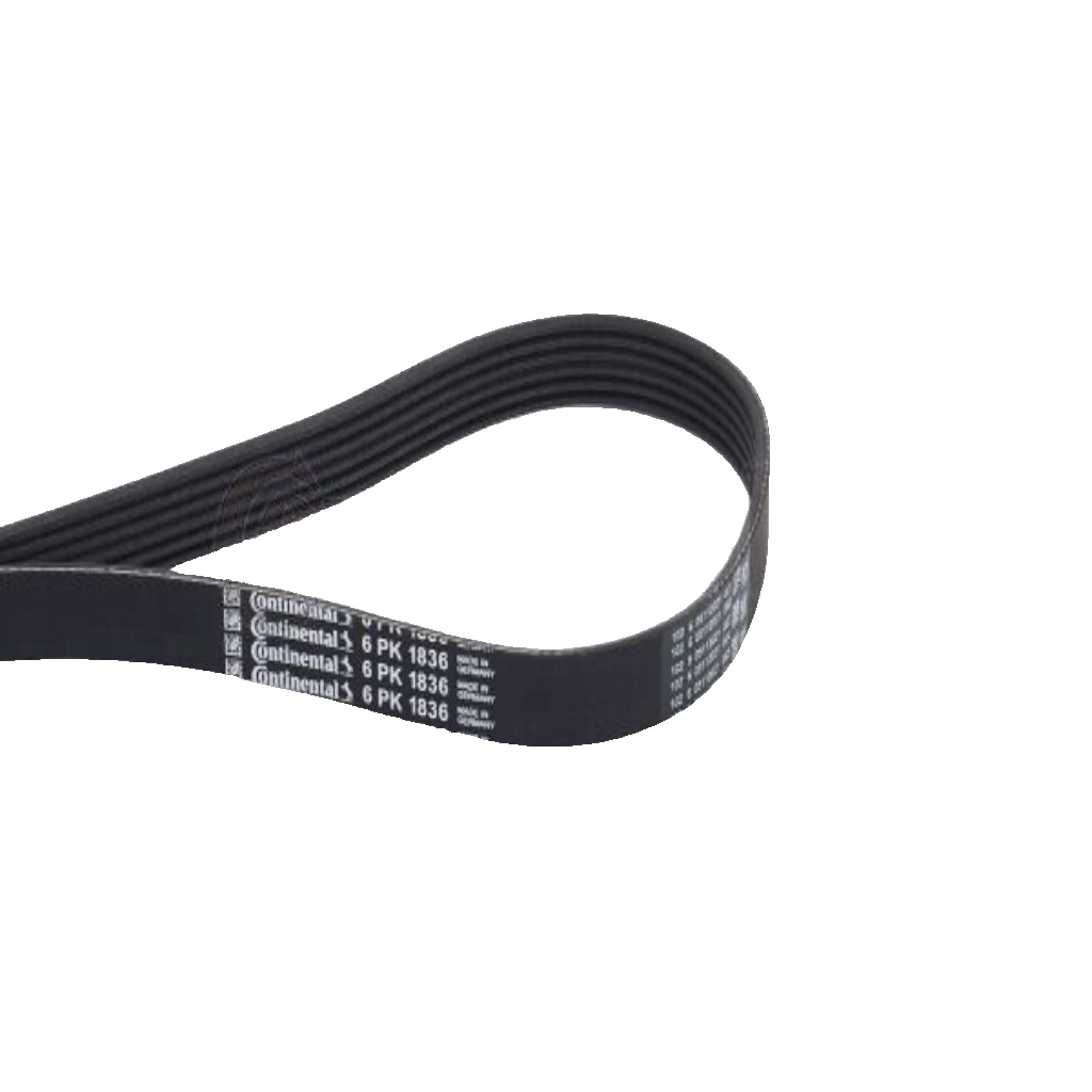 6PK1836 CONTINENTAL CTAM V-Ribbed Belt for ALFA ROMEO,BMW,CHEVROLET,DAEWOO,FIAT,