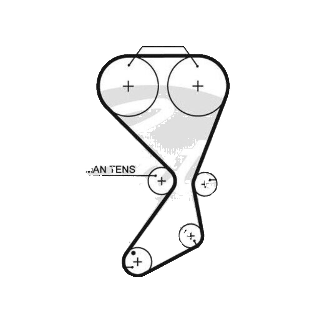 Gates 5556XS Timing Belt Fits Hyundai Santa Fe Sonata Trajet Kia Magentis