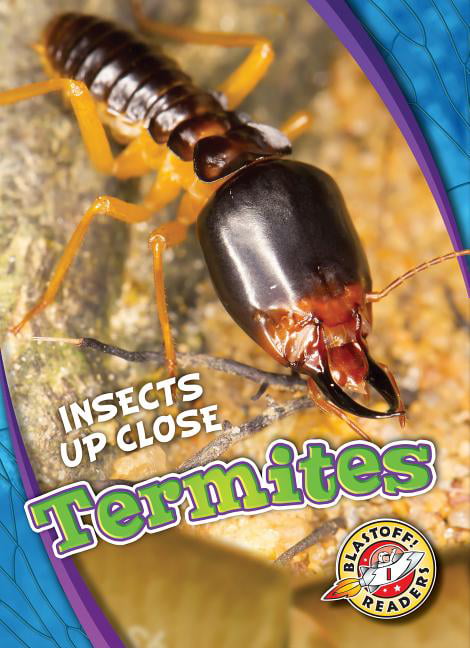 Termites by Patrick Perish - 9781626177192