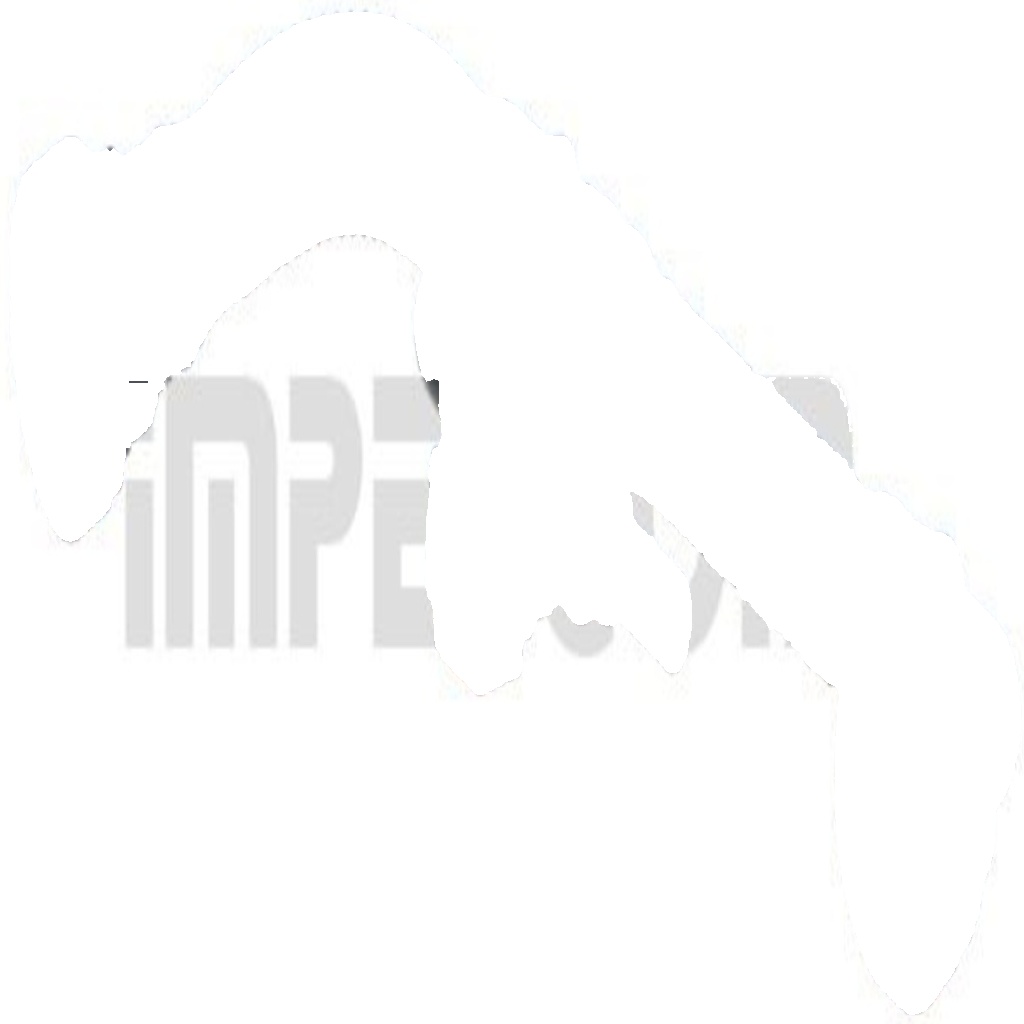 Fits ORIGINAL IMPERIUM 225454 PSA odema cord.. - Image 6