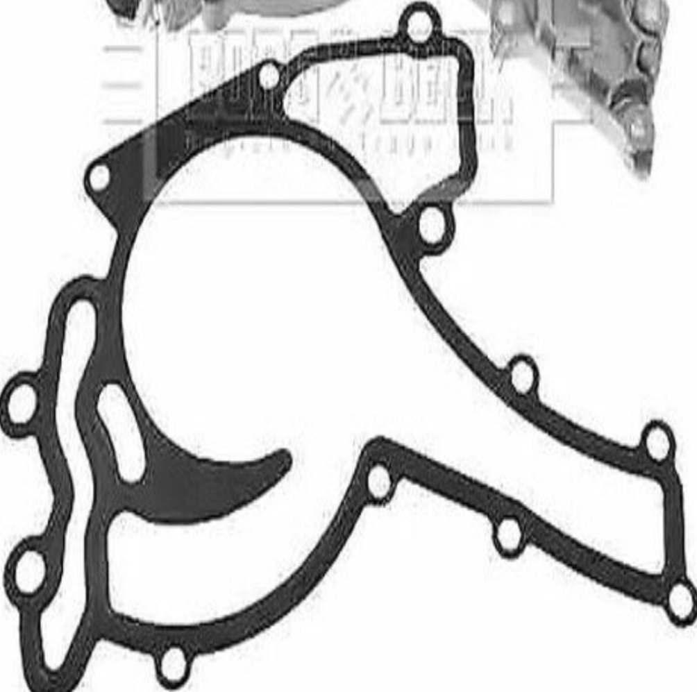 For MERCEDES R-CLASS W251 V251 2005 to 2017 Water pump BWP2190