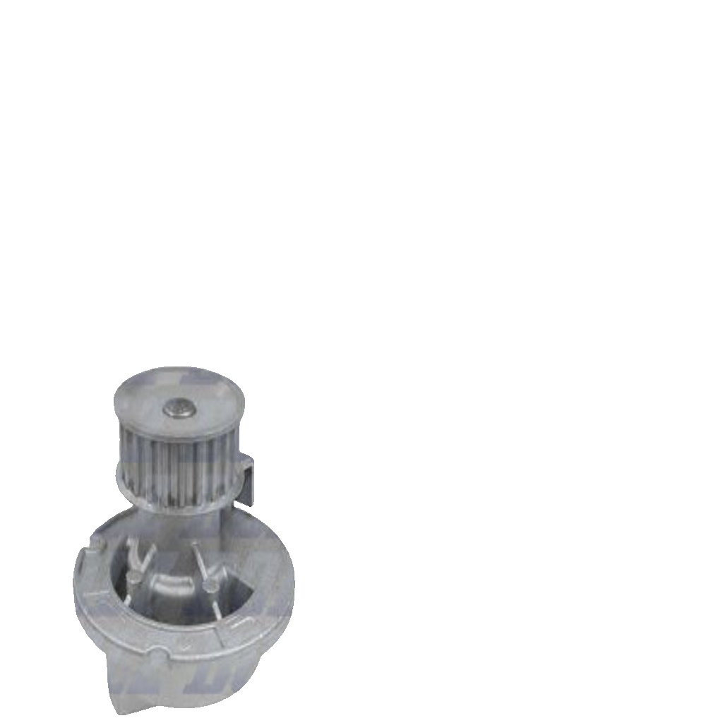 Fits DOLZ KD157 TIMING KPL. + WATER PUMP   ⭐UK Stock⭐