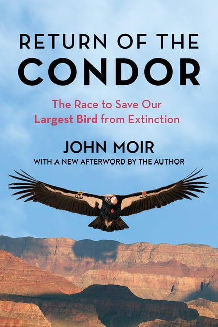 Return of the Condor by John Moir PAPERBACK 9781493076659