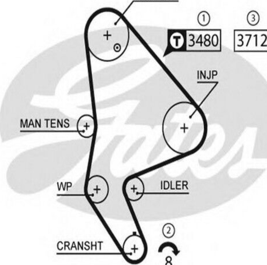 Gates Timing Belt - 5590XS - MPN: 5590XS - Zoro