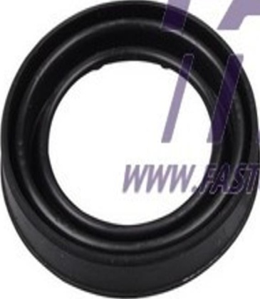 Fits FAST FT32431 CALIPER PISTON HAM FIAT DUCATO 06> FRONT/REAR [+] R ⭐UK Stock⭐