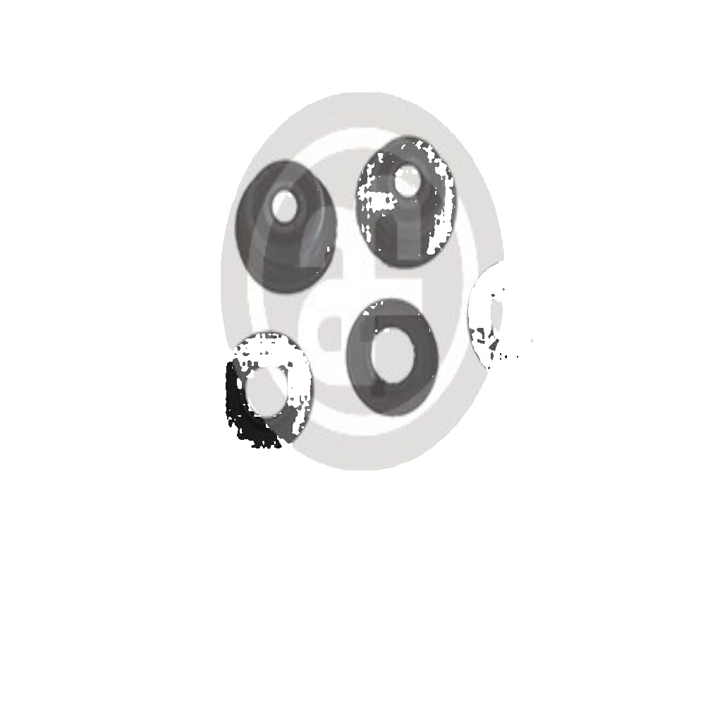 Fits AUTOFREN SEINSA D1602 HAM PUMP REPAIRER. TOYOTA RAV-4   ⭐UK Stock⭐