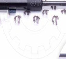 Gas Spring Trunk Lifter SKV for Audi A4 (B6 B7) Convertible ; 8H0827552B