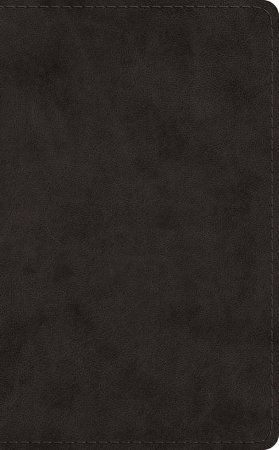 ESV Pocket Bible (Leather / fine binding)