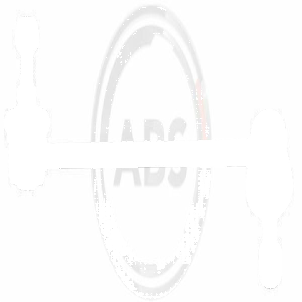 Stabilizer Link Suspension Rod 260354 A.B.S. for HYUNDAI GETZ