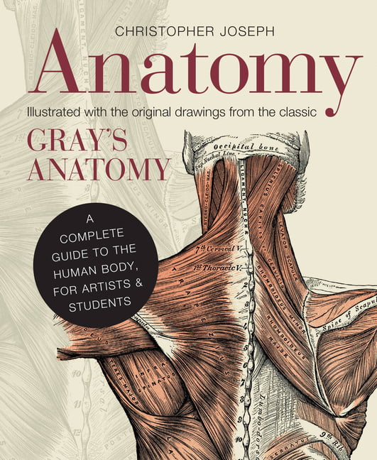 Anatomy: A Complete Guide to the Human Body by Christopher Joseph (HB 2013) - Image 4