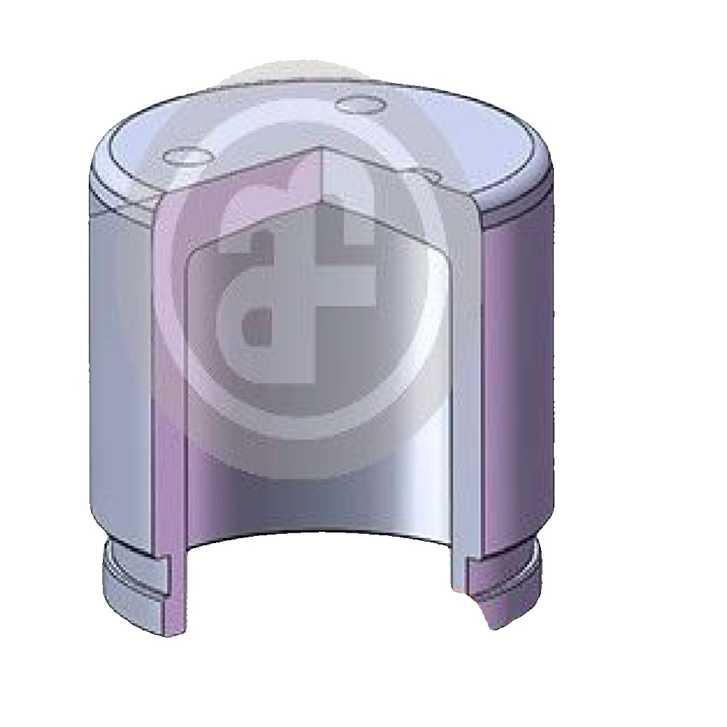 D025819 AUTOFREN SEINSA Piston, brake caliper for MITSUBISHI