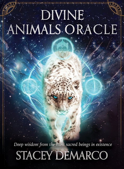 Divine Animals Oracle by Stacey Demarco (Paperback Book) - Image 3