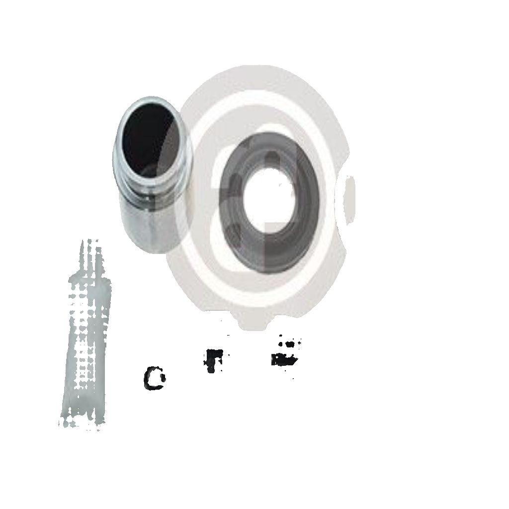 Rear AUTOFREN SEINSA D42230C Repair Kit, brake caliper for TOYOTA
