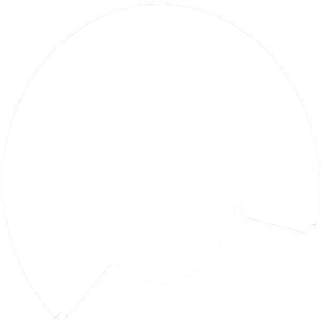 11188 A.B.S. Splash Panel, brake disc for RENAULT