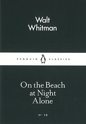 On the Beach at Night Alone