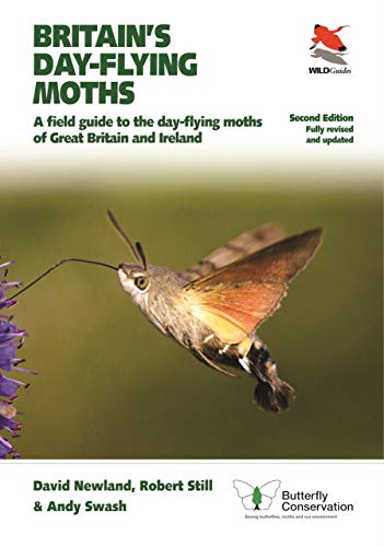 Britain′s Day–flying Moths – A Field Guide to the Day–flying Moths of Great - Image 4