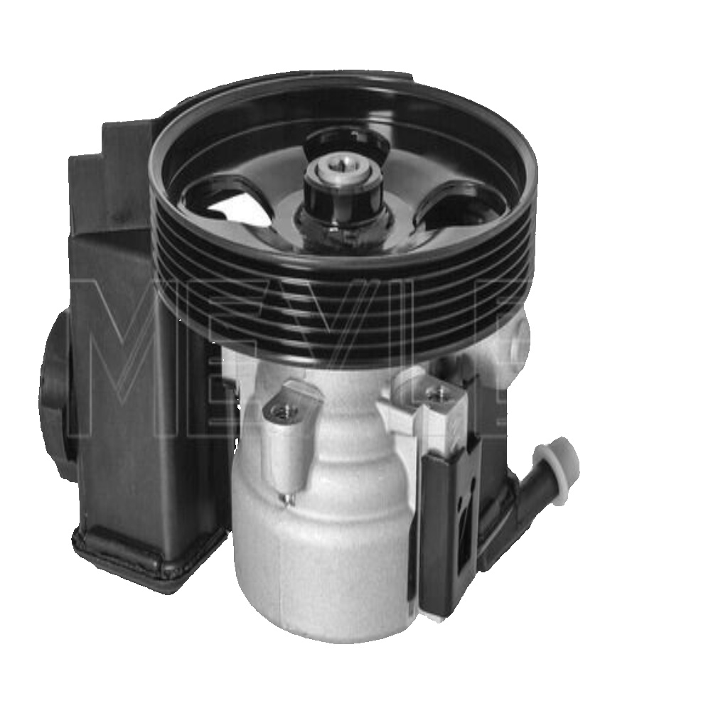 MEYLE GERMANY 11-14 631 0018 Hydraulic Pump, steering for CITROËN,PEUGEOT