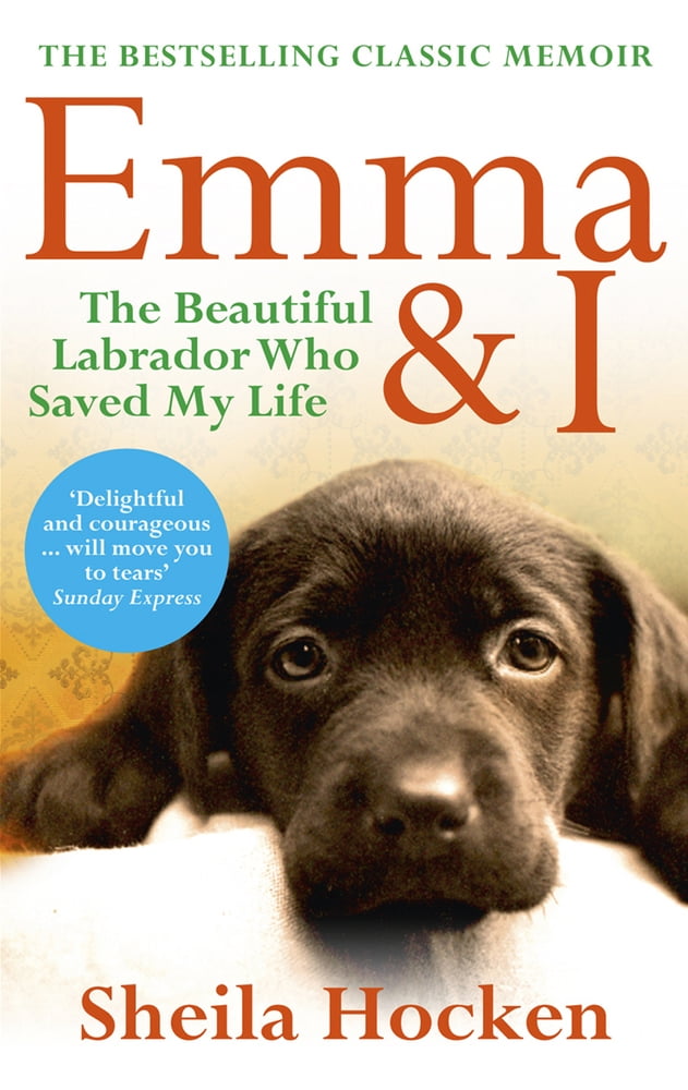 Emma and I-Sheila Hocken, 9780091943363 - Image 7